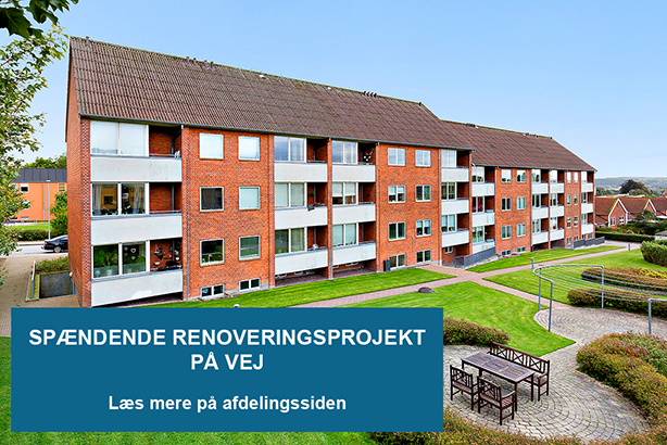 Afdelings billeder